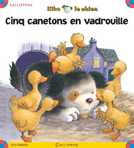 Cinq canetons en vadrouille