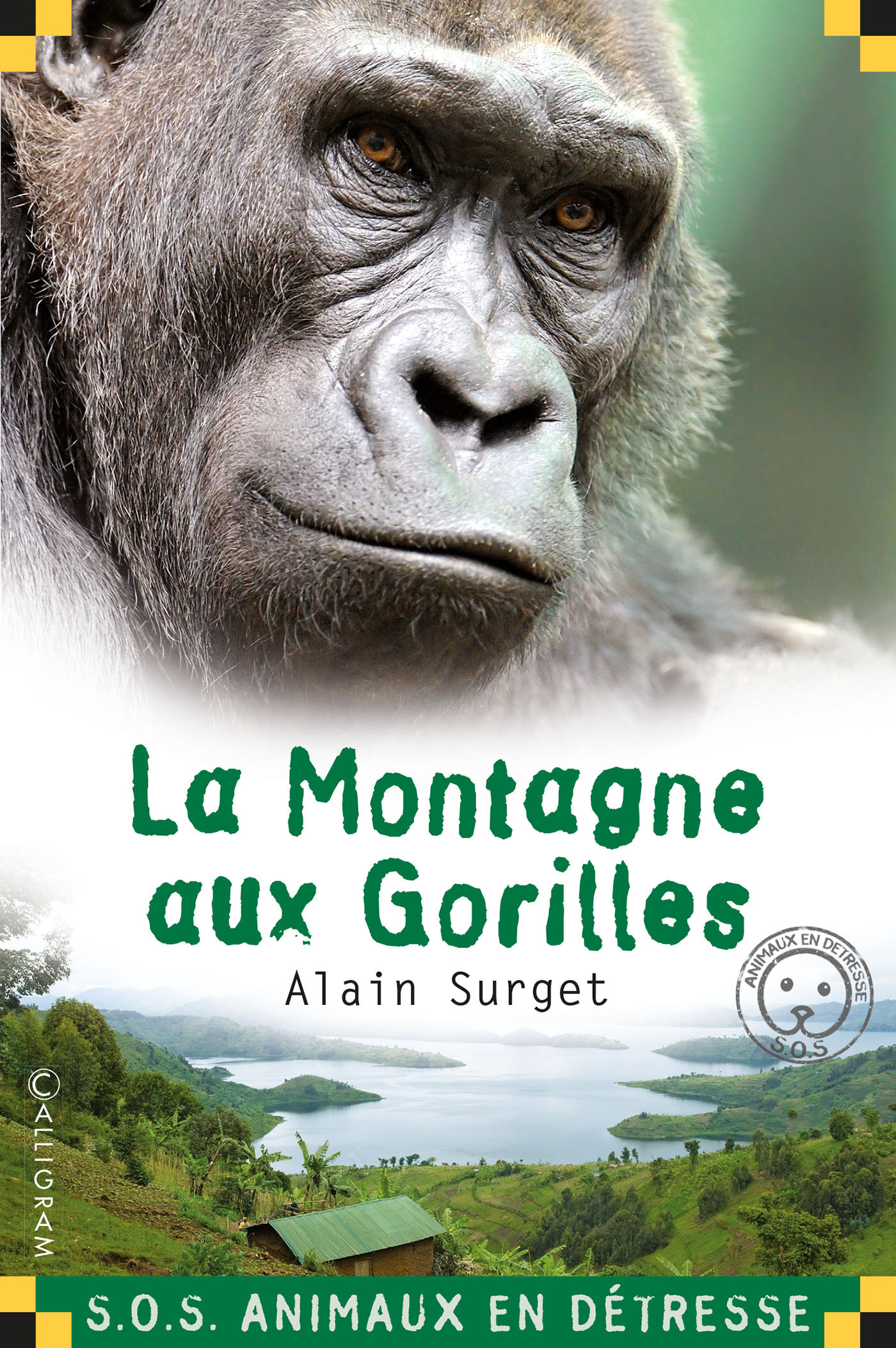 LA MONTAGNE AUX GORILLES