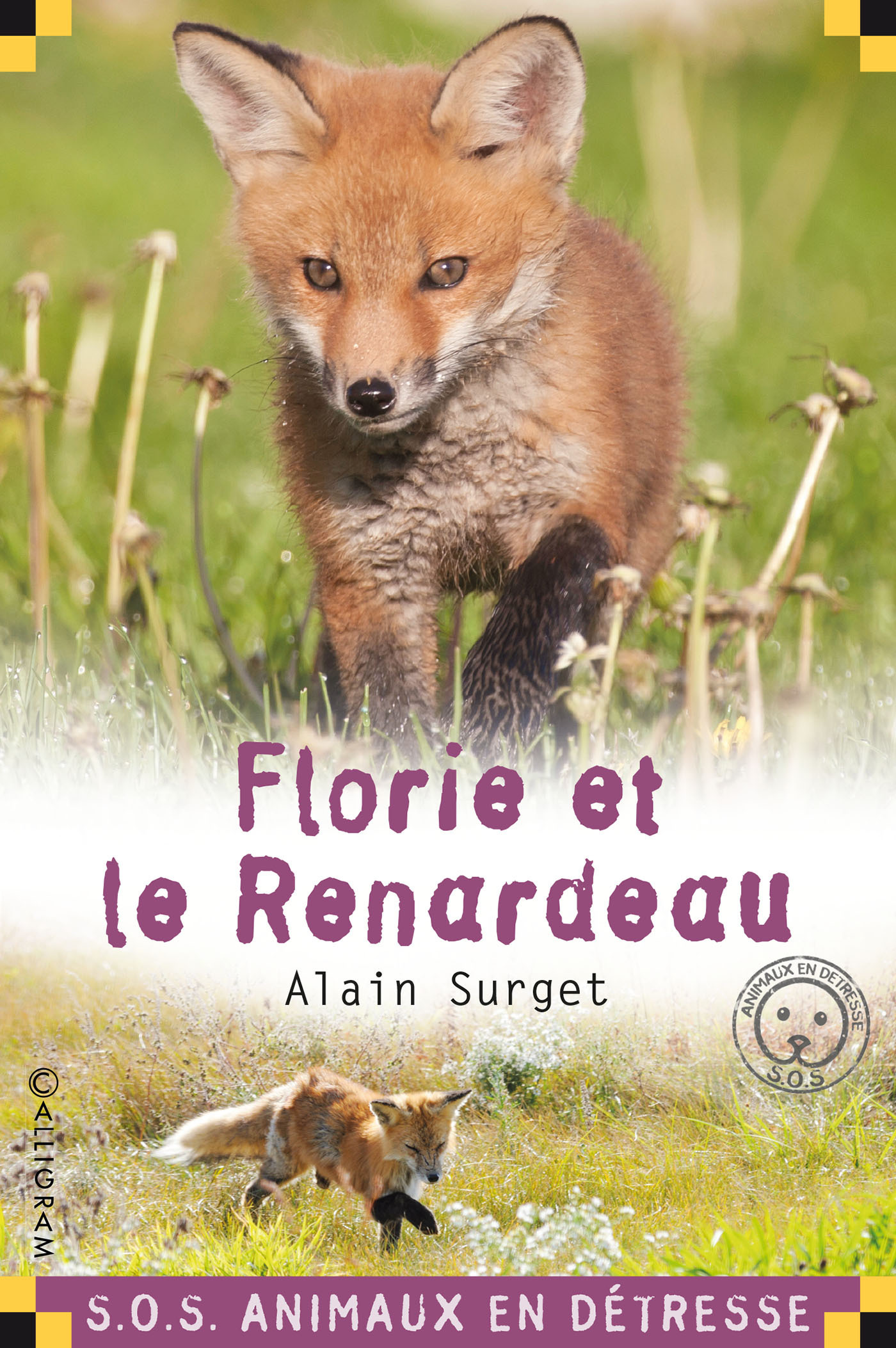 FLORIE ET LE RENARDEAU