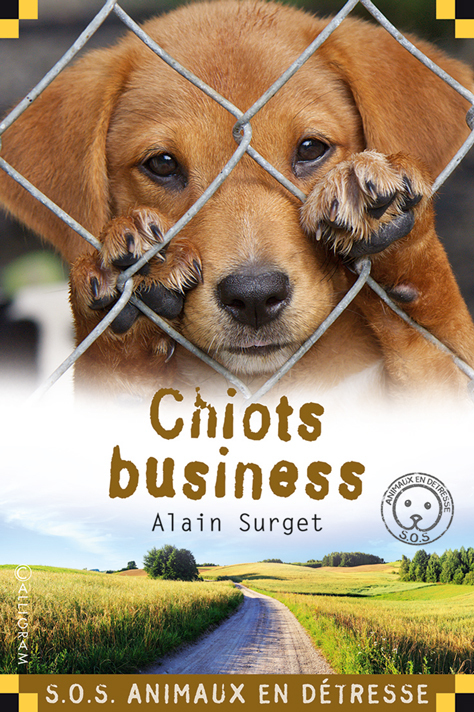 Chiots business