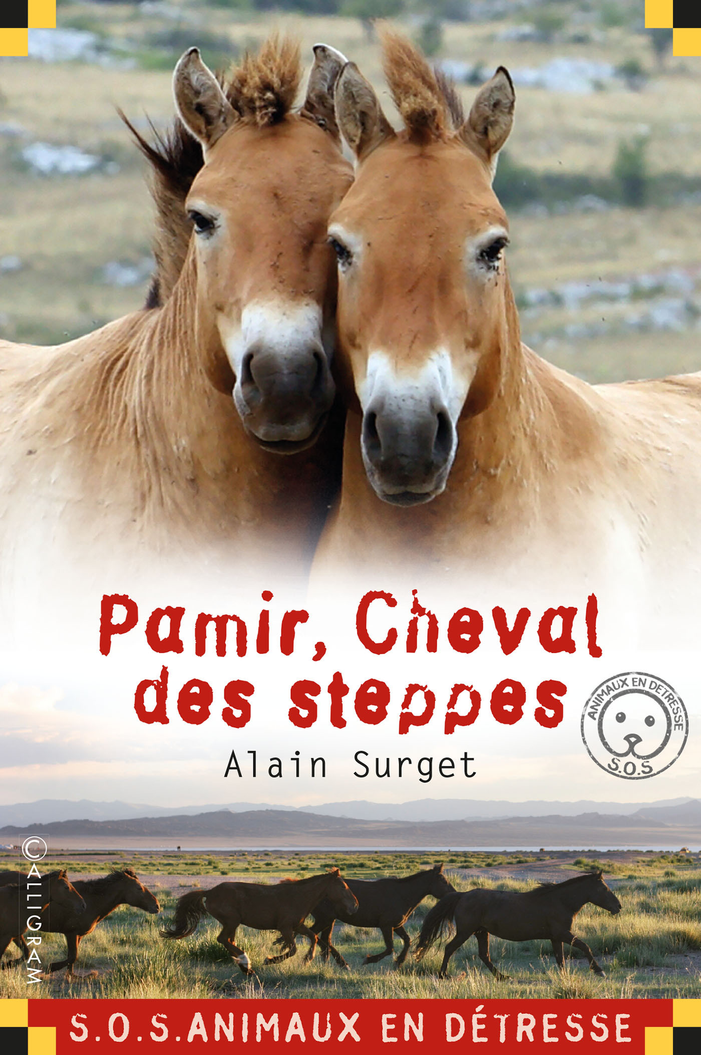 PAMIR, CHEVAL DES STEPPES