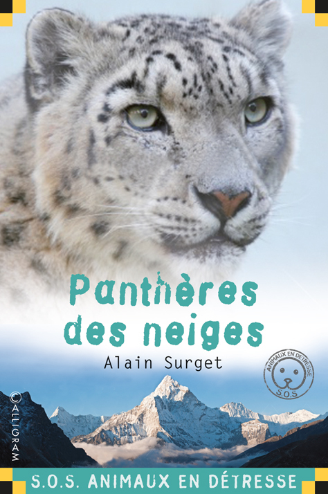 Panthères des neiges