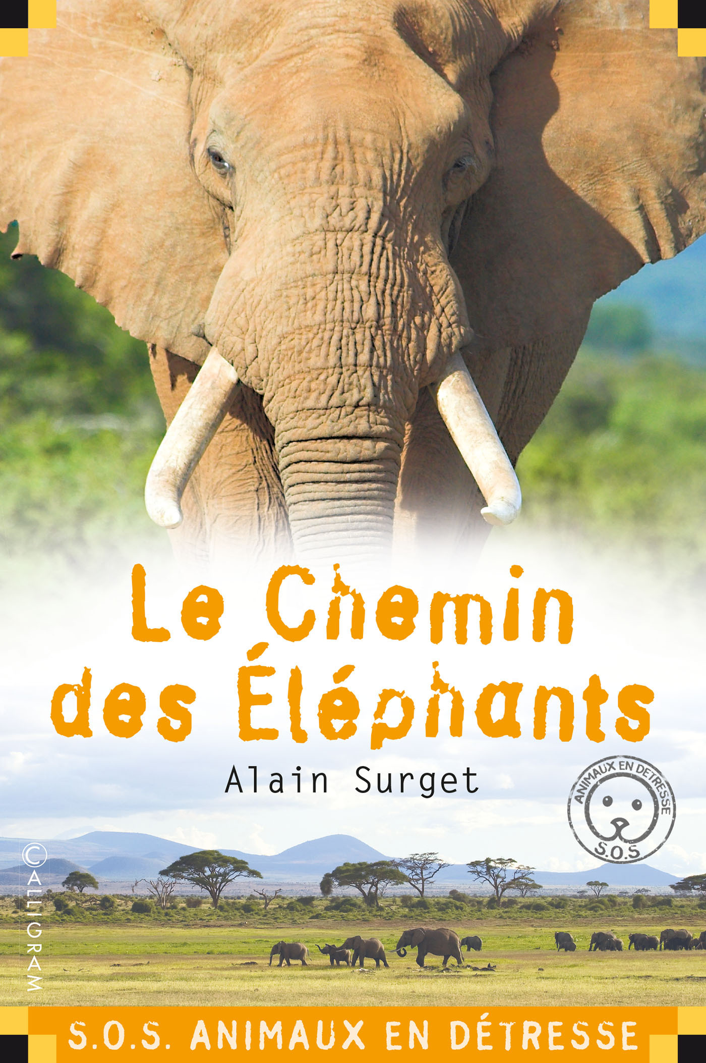 LE CHEMIN DES ELEPHANTS