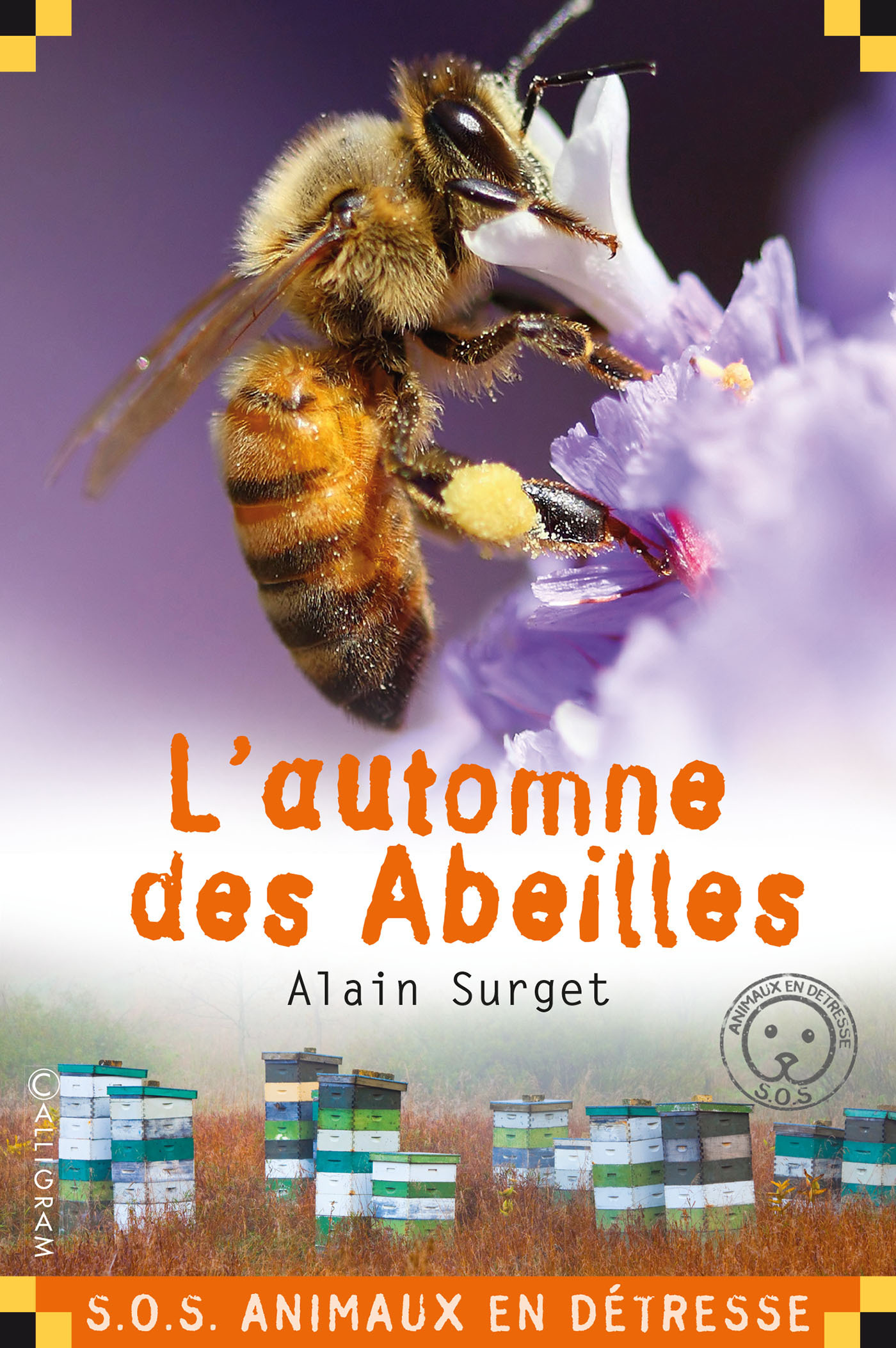 L AUTOMNE DES ABEILLES