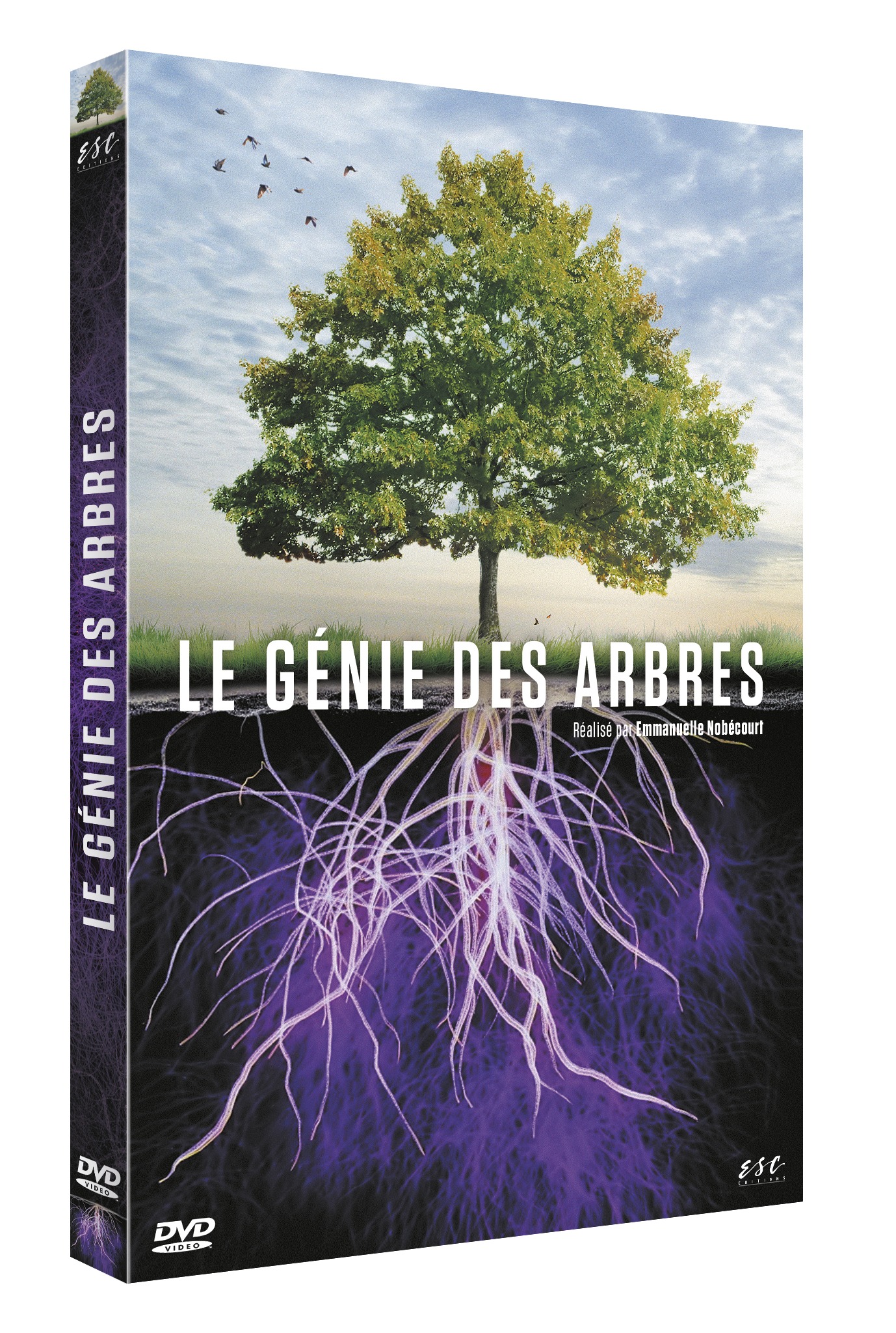 GENIE DES ARBRES