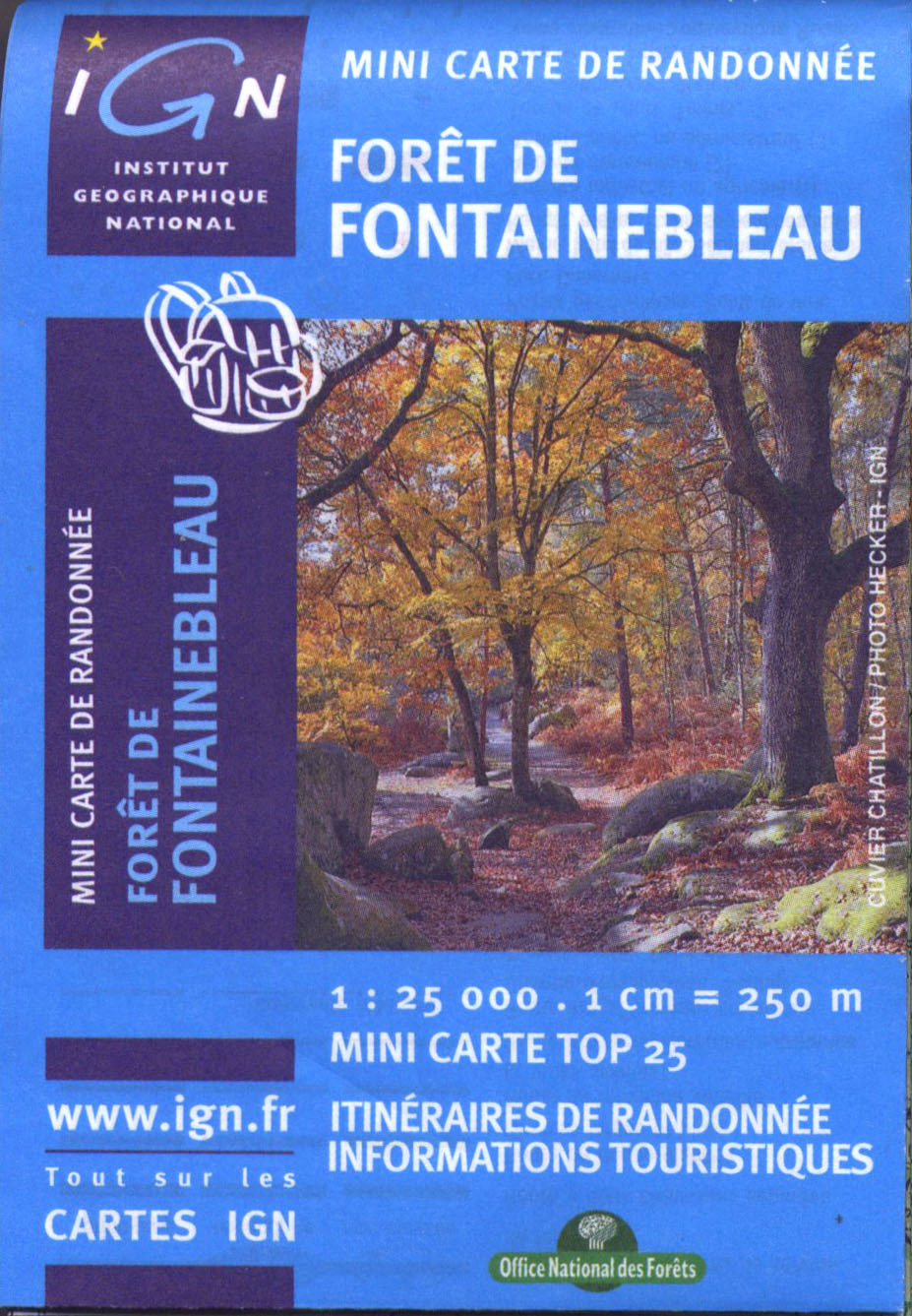 Aed M2417Ot Mini Foret De Fontainebleau