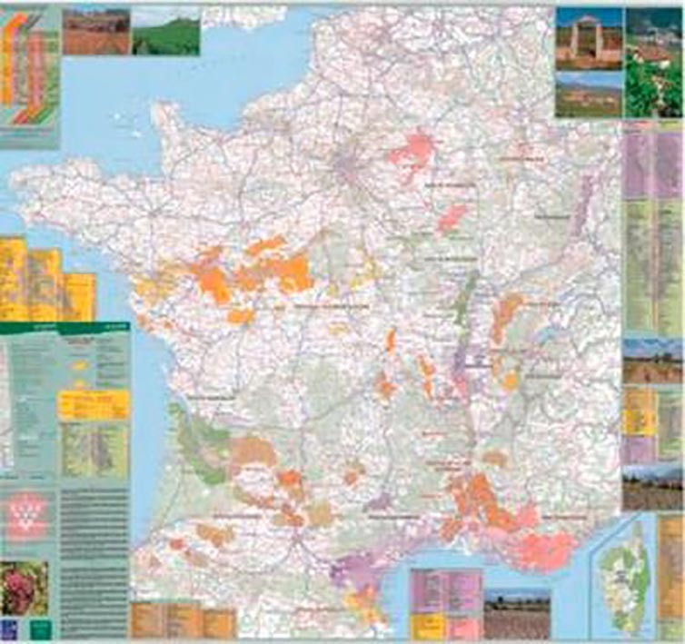 70037 Vins De France Plastifie  1/1M  100X110 Cm