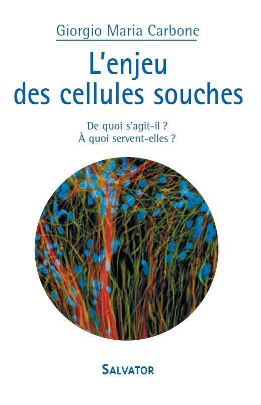 L'enjeu des cellules souches