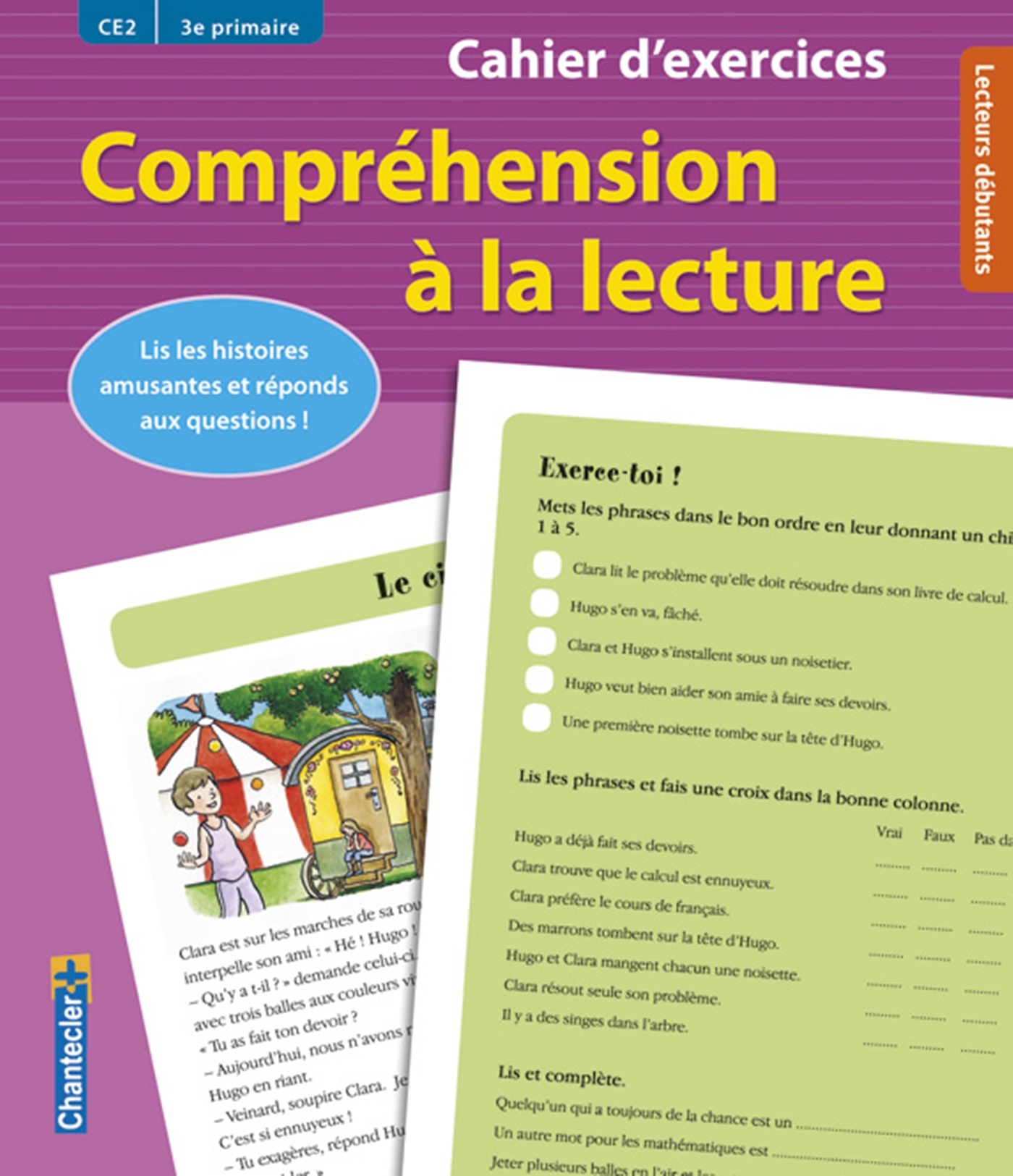 COMPREHENSION A LA LECTURE (CE2 3E PRIMAIRE) (ROSE)