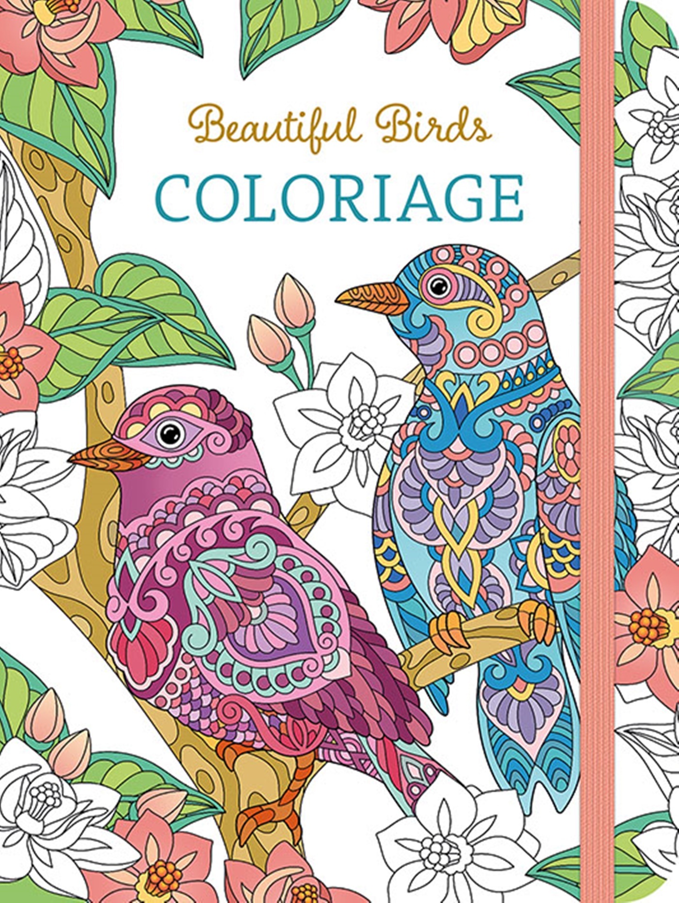 Beautiful Birds Coloriage