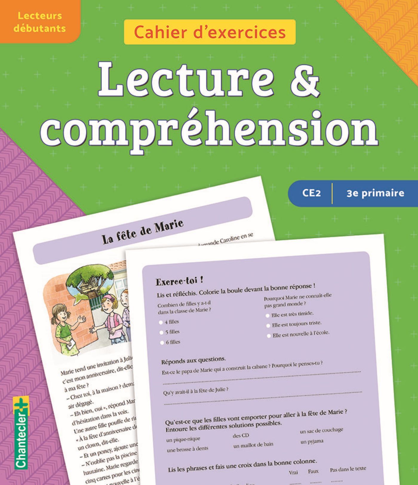 Cahier d'exercices lecture & compréhension (CE2 -3e primaire) (vert-violet)