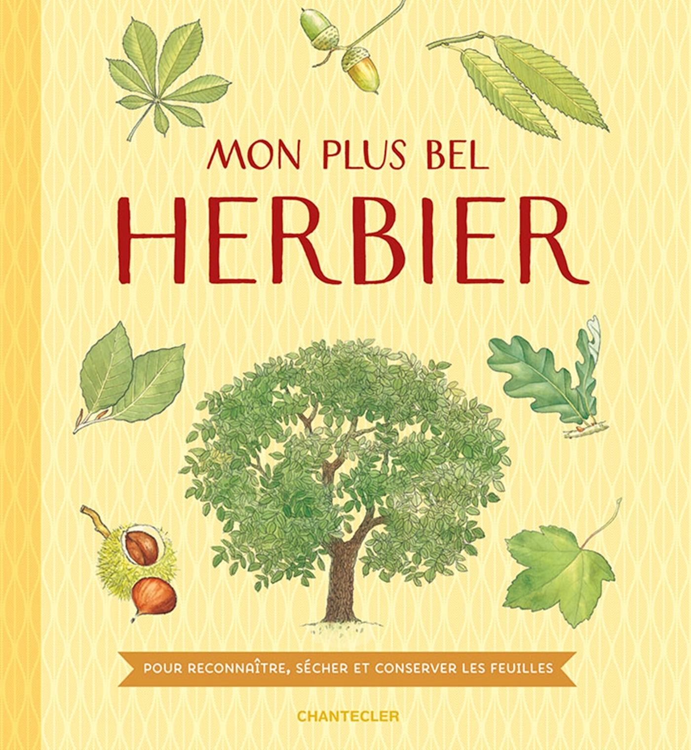 Mon plus bel herbier - collectionner des feuilles