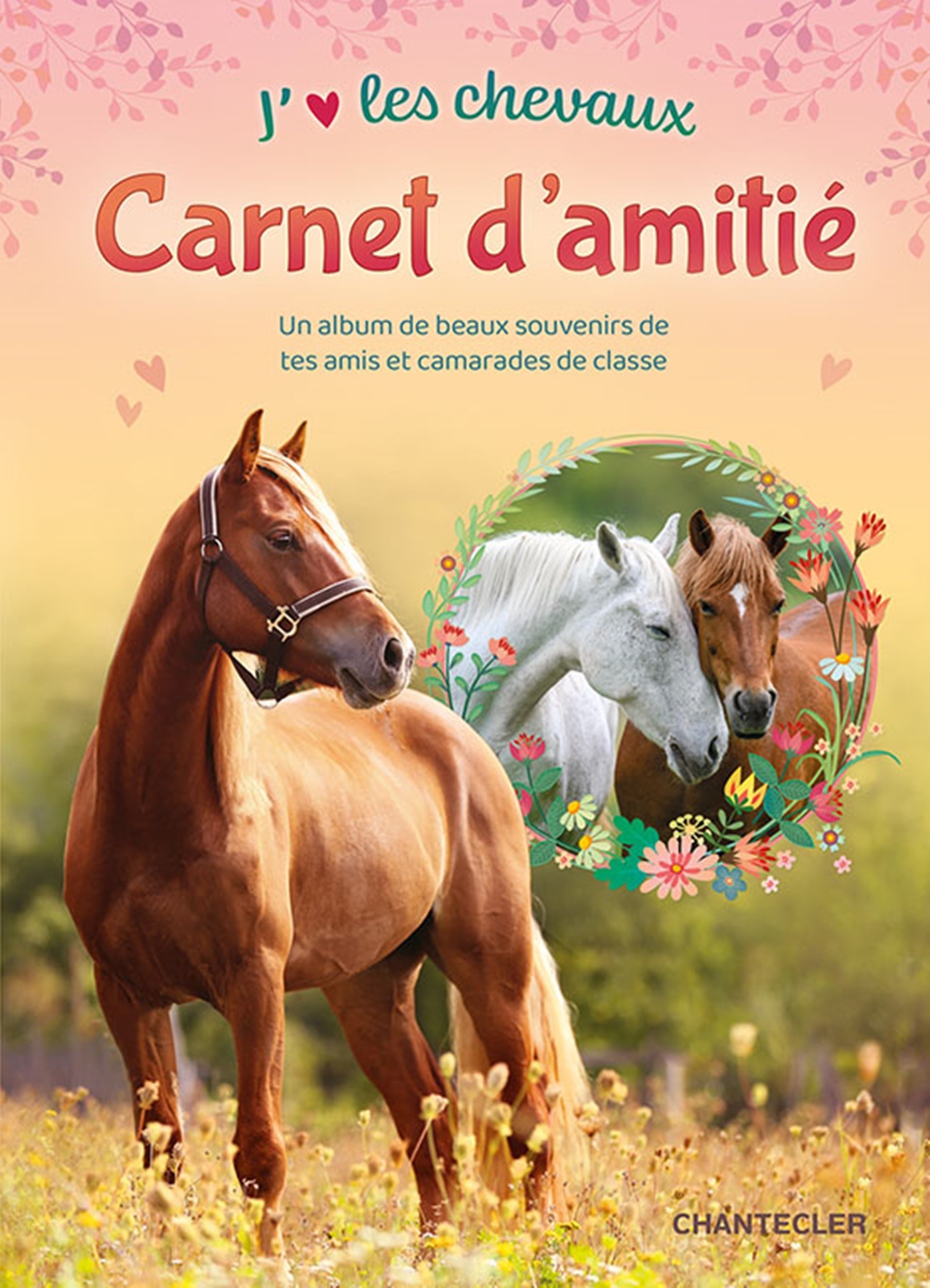 J'aime les chevaux carnet d'amitié