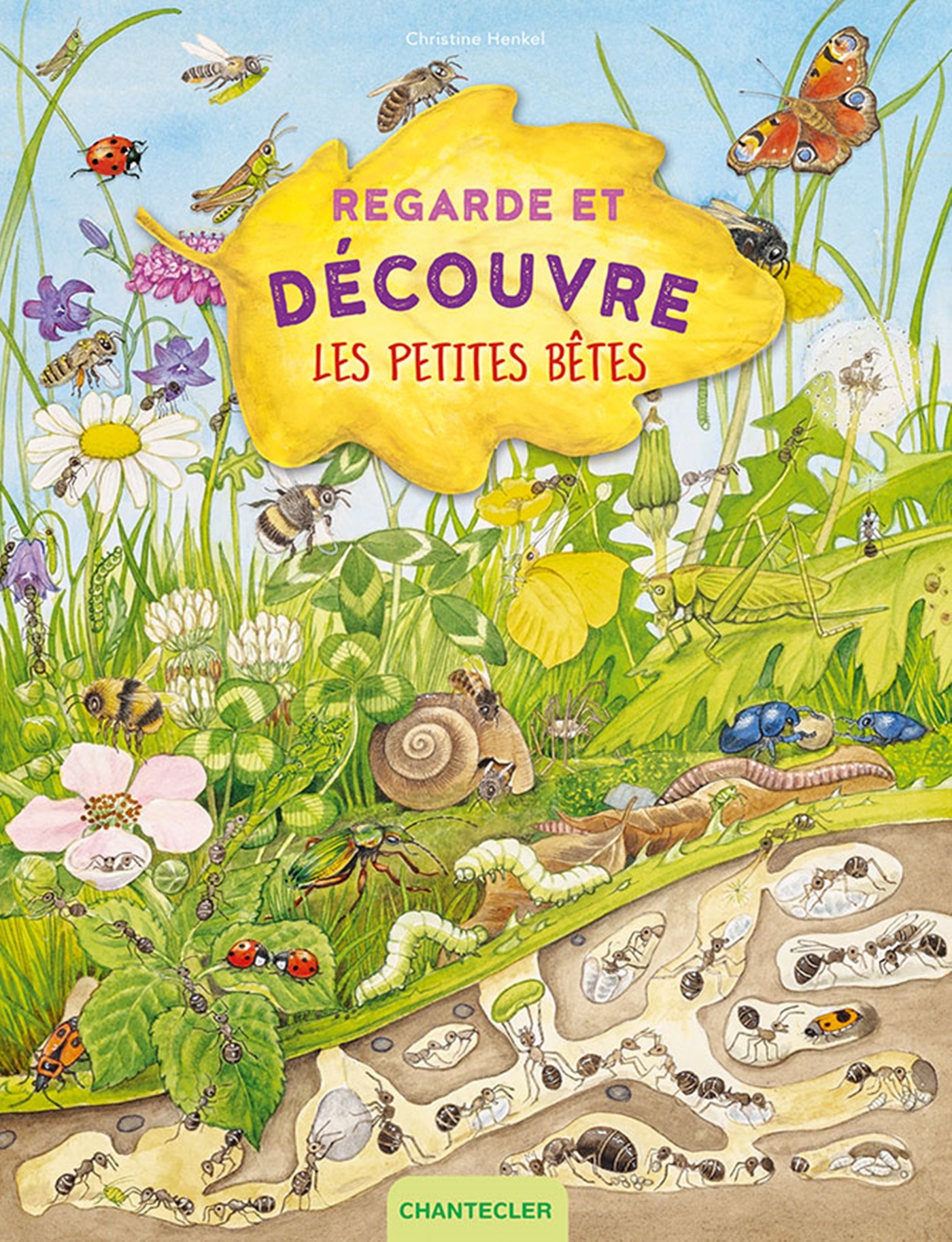 Regarde et découvre - Les petites bêtes