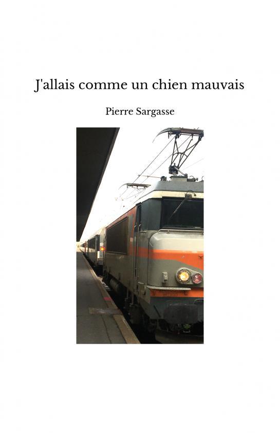 J'allais comme un chien mauvais