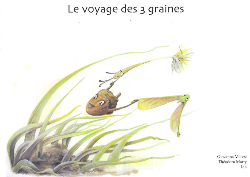 Le voyage des trois graines