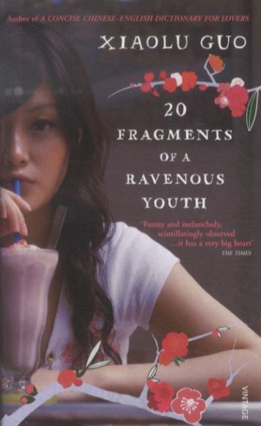 20 Fragments of a Ravenous Youth
