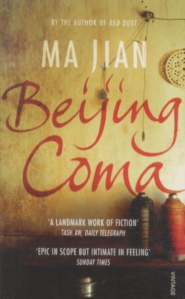 Beijing Coma