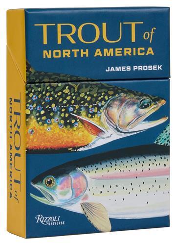 Trout North America Card Deck /anglais