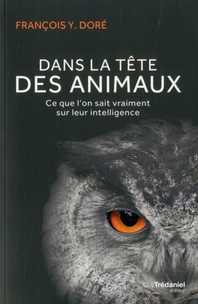 Dans la tête des animaux