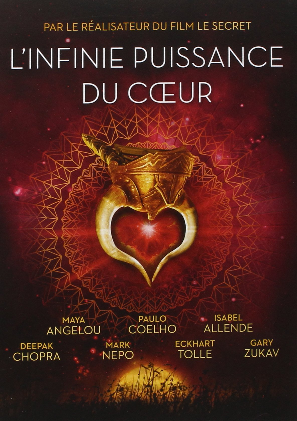 DVD l'Infinie Puissance du Coeur