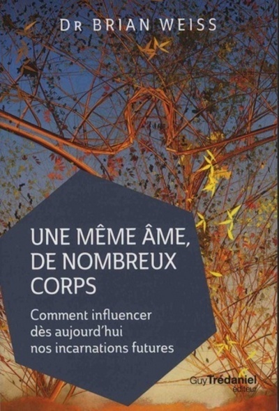 Une même âme de nombreux corps - Comment influencer dès aujourd'hui nos incarnations futures