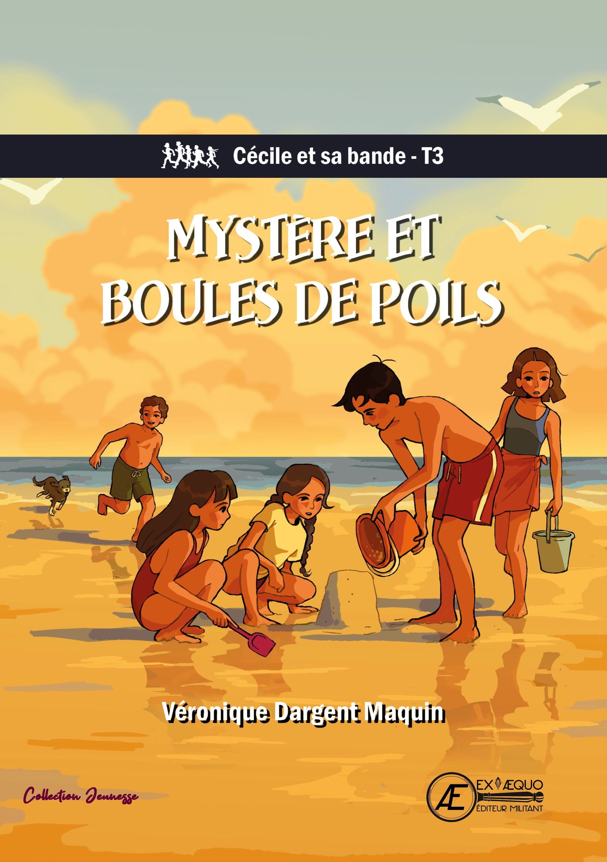 Mystère et boules de poils - roman jeunesse