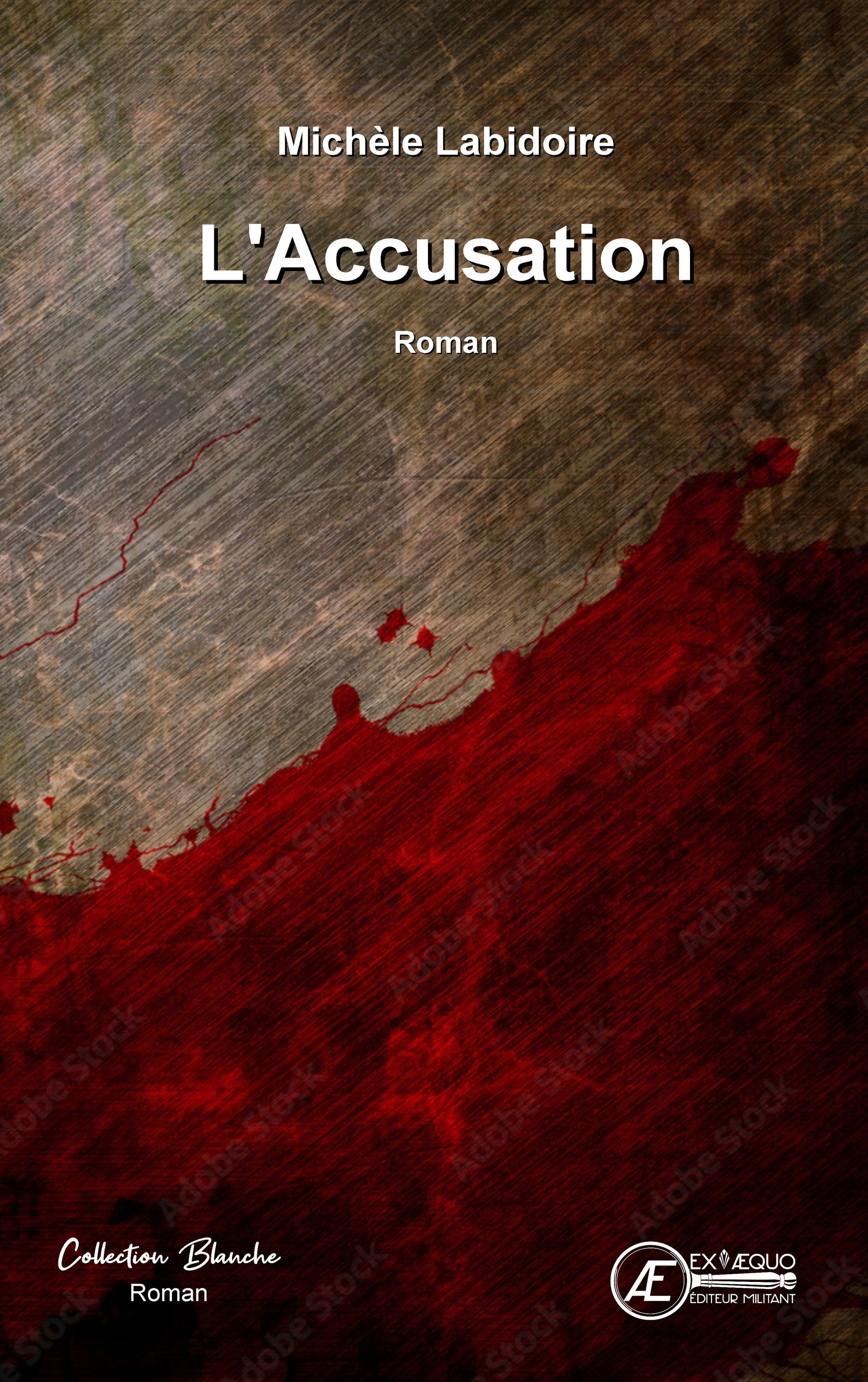 L'accusation - roman