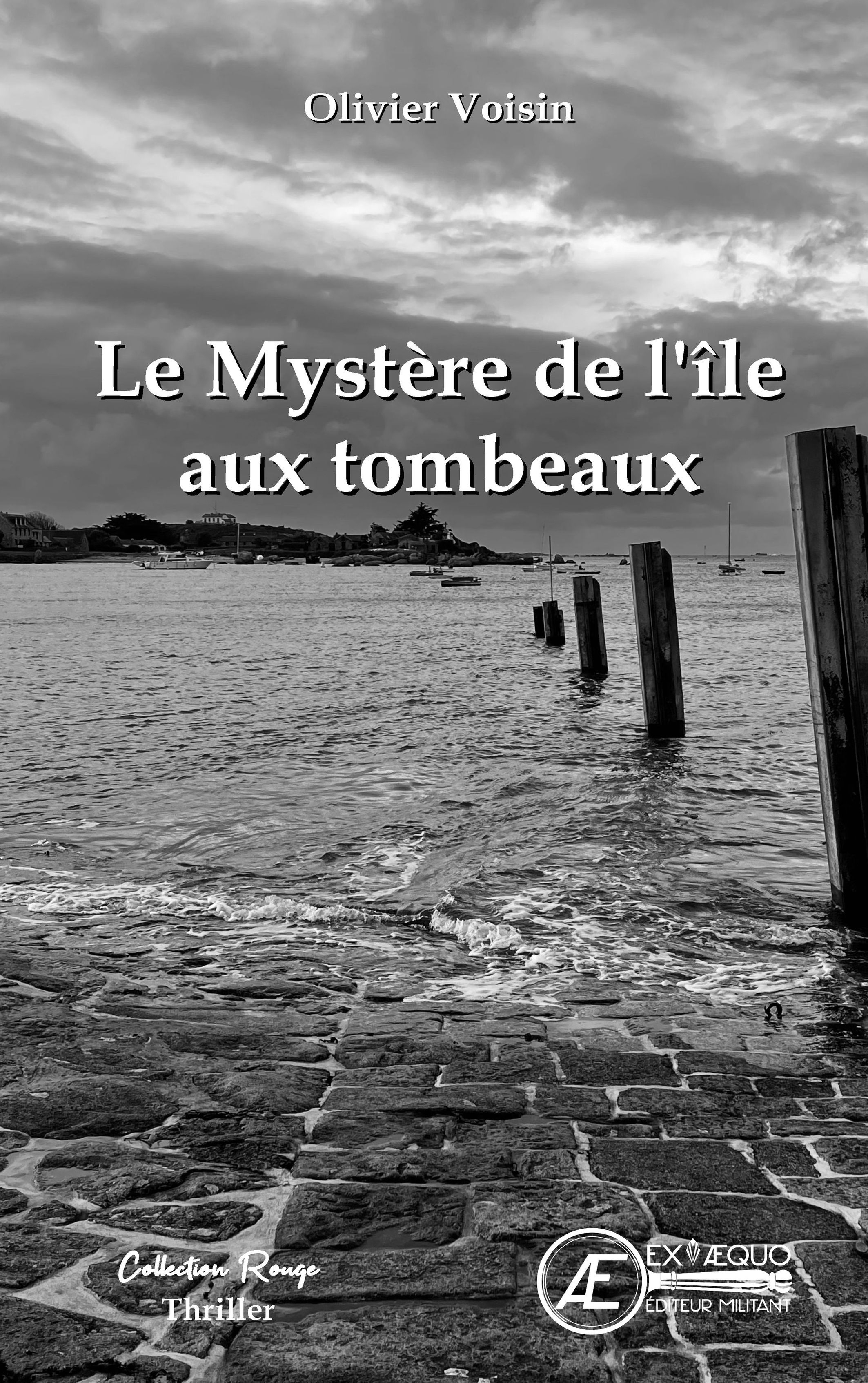 Le mystère de l'île aux tombeaux - roman policier