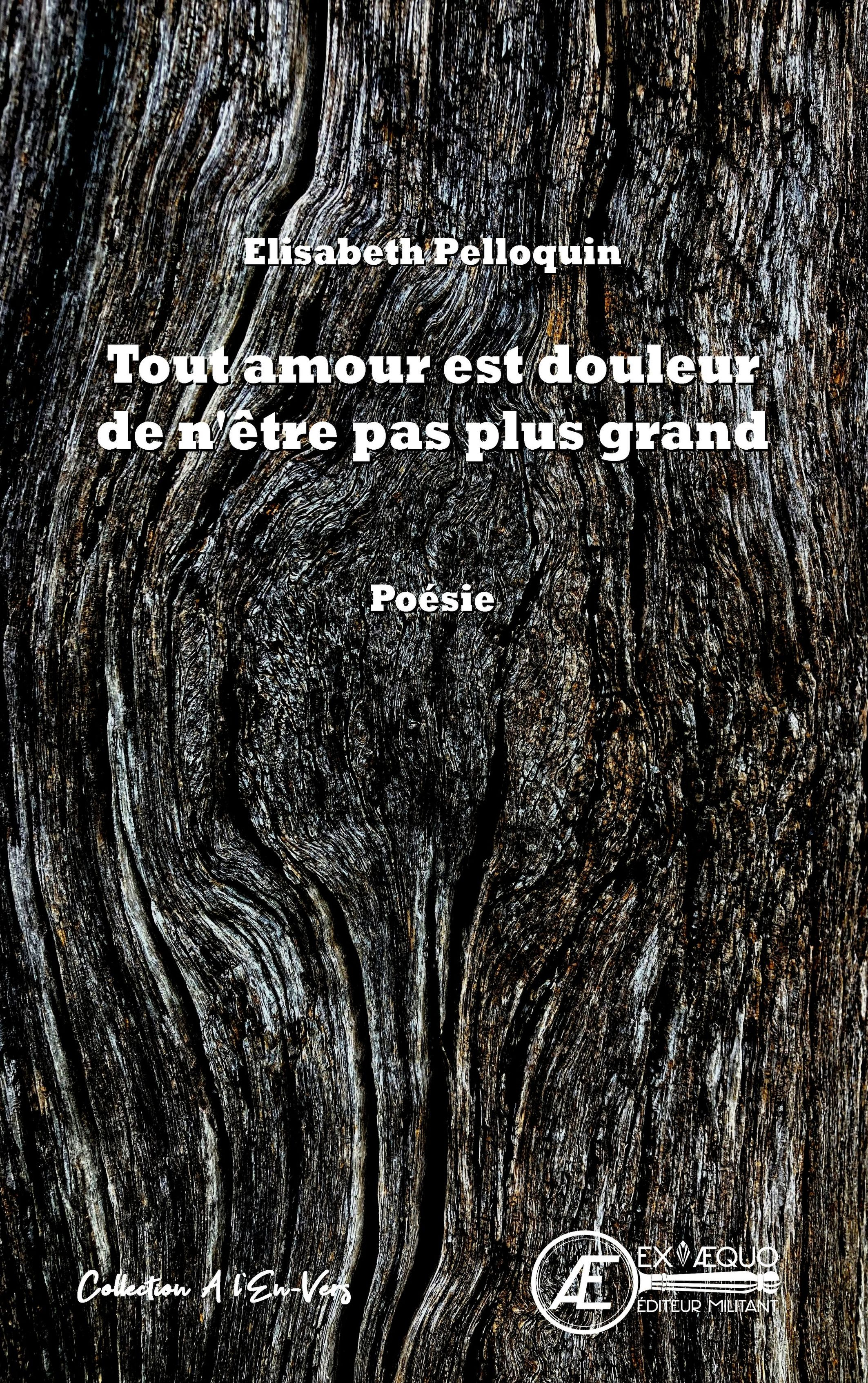 Tout amour est douleur de n'être pas plus grand - recueil de poésies