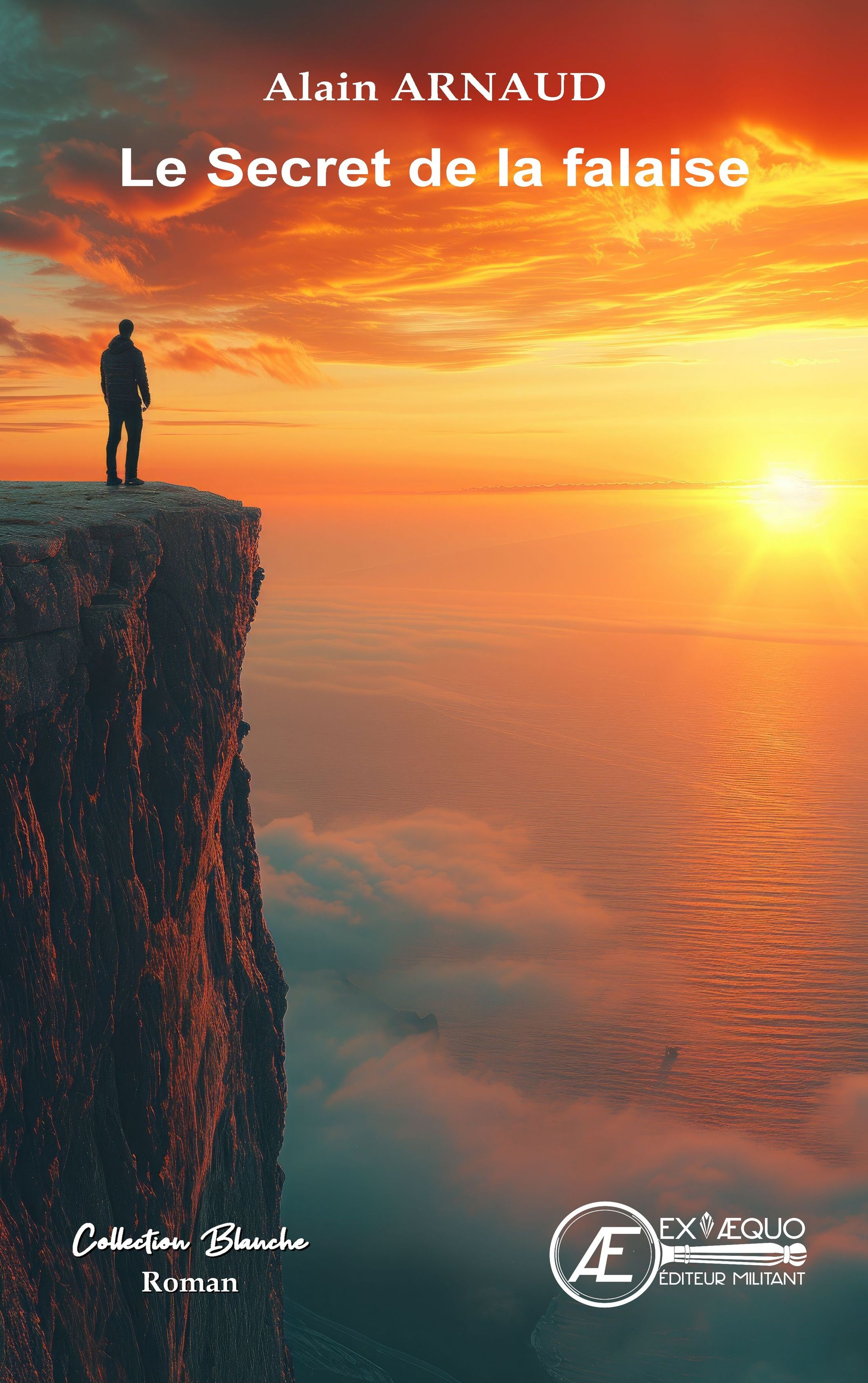 Le secret de la falaise - roman