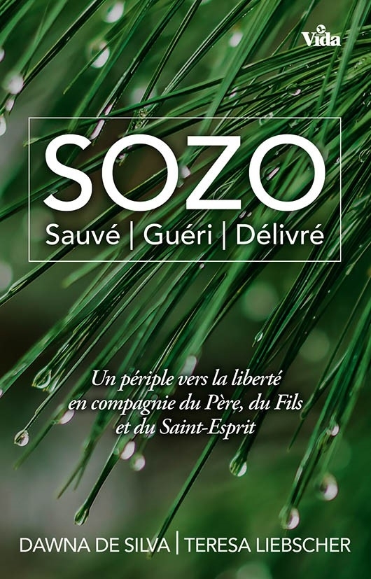 Sozo, sauvé, guéri, délivré