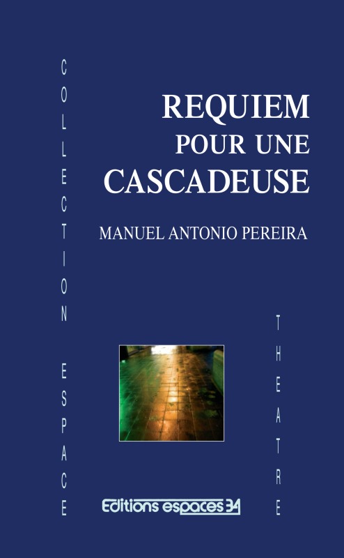 Requiem pour une cascadeuse