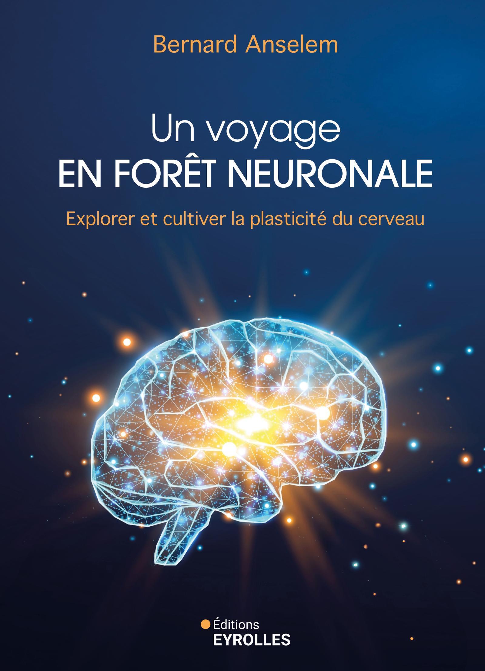 Un voyage en forêt neuronale