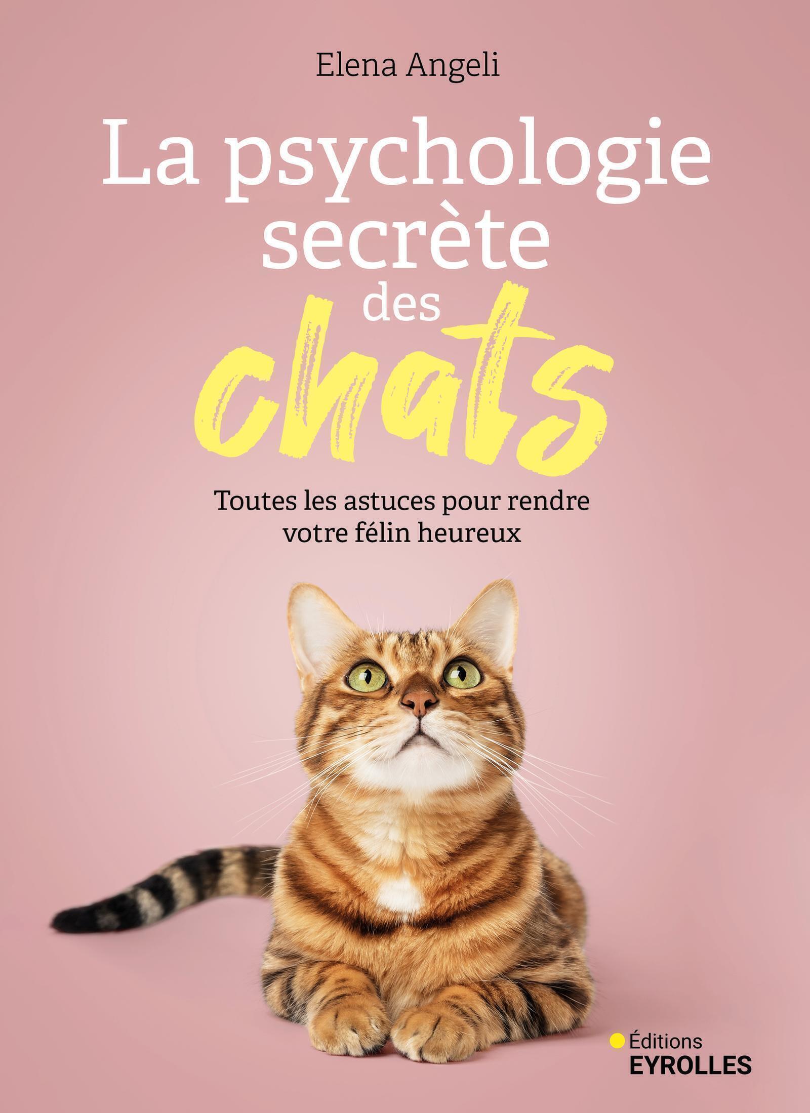La psychologie secrète des chats