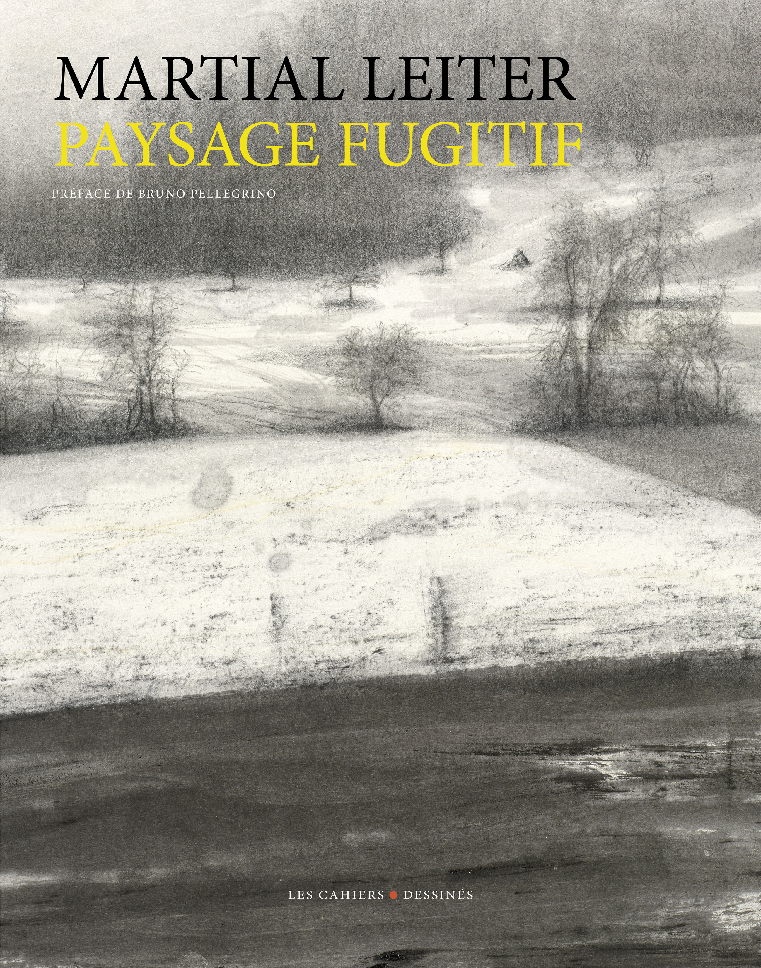 Paysage fugitif