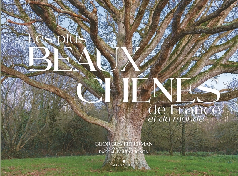 Les Plus Beaux Chênes de France et du monde