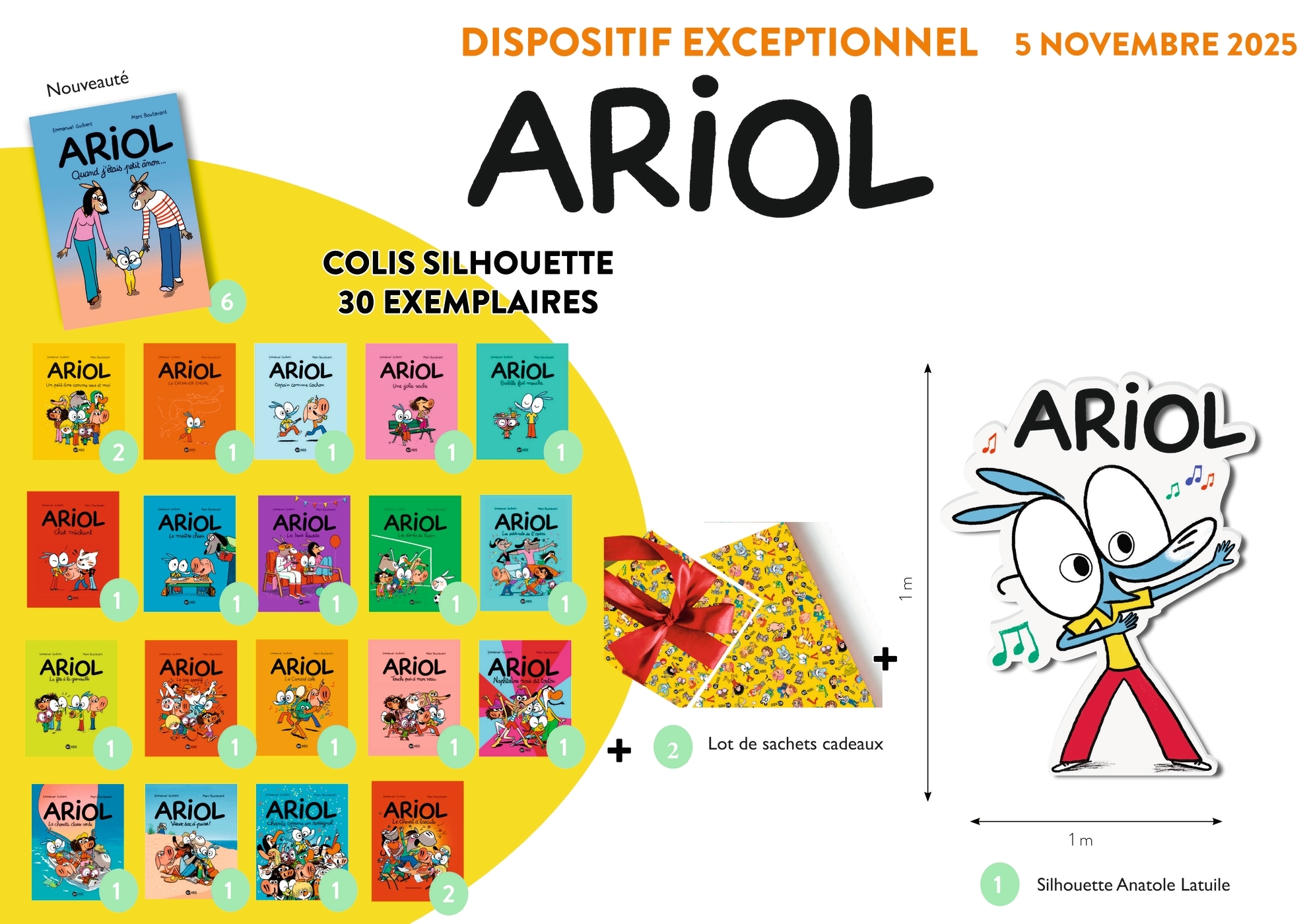 Colis 30 vol silhouette - Ariol T21 - nov 25