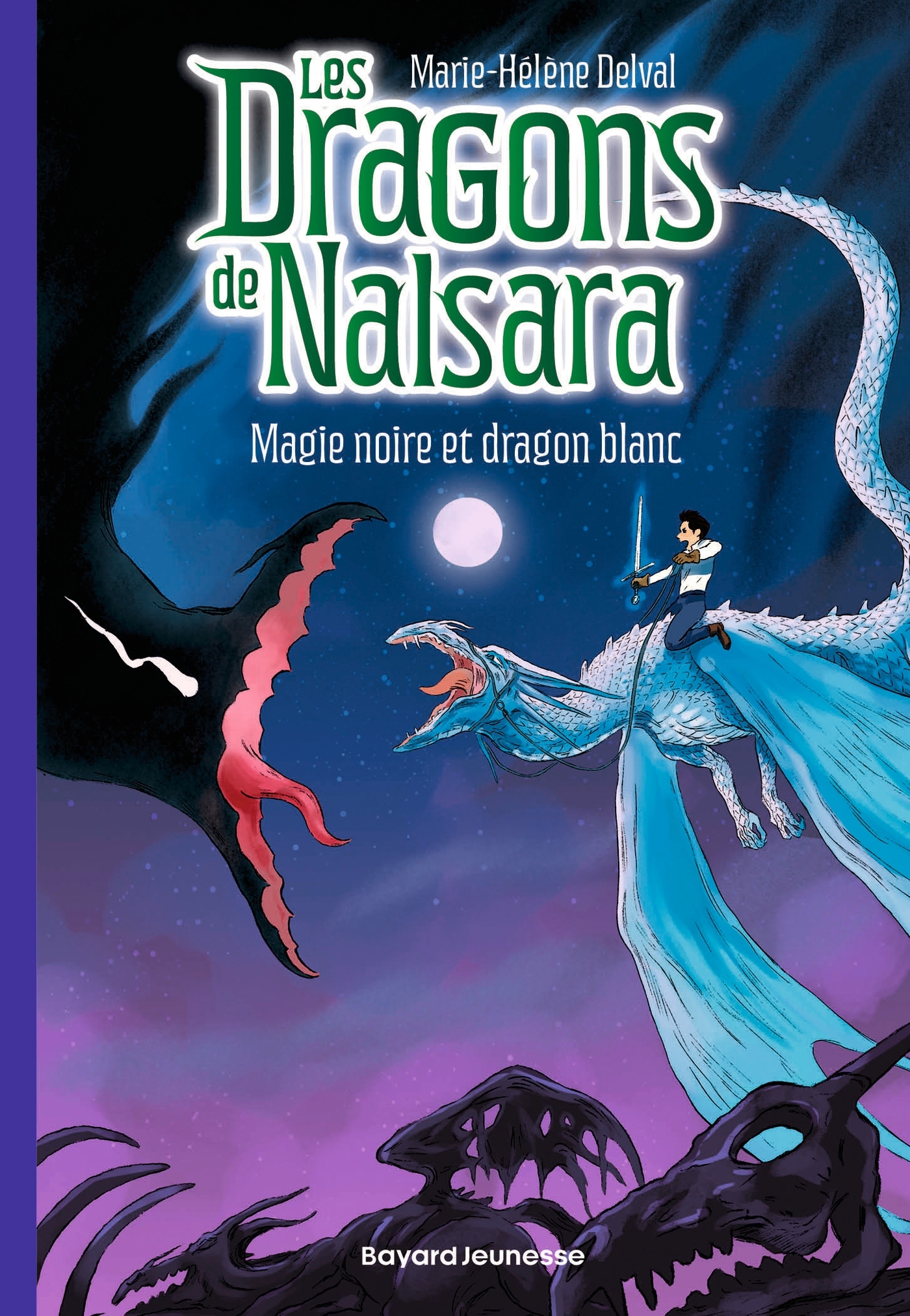 Les dragons de Nalsara, Tome 14