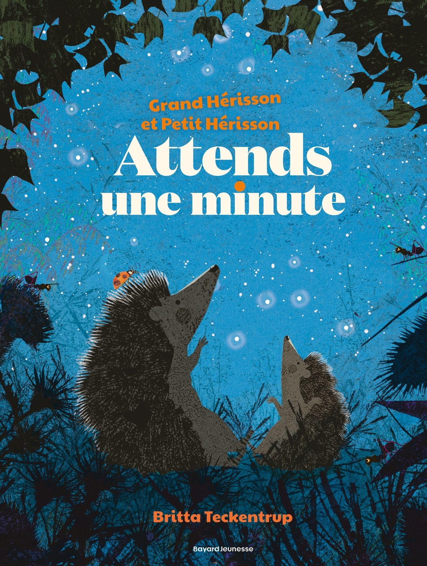 Attends une minute (Grand Hérisson et petit hérisson)
