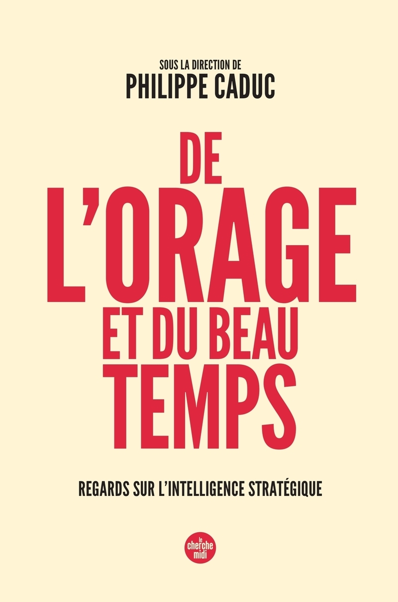 De l'orage et du beau temps - Regards sur l'intelligence stratégique