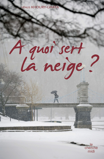 A quoi sert la neige ?