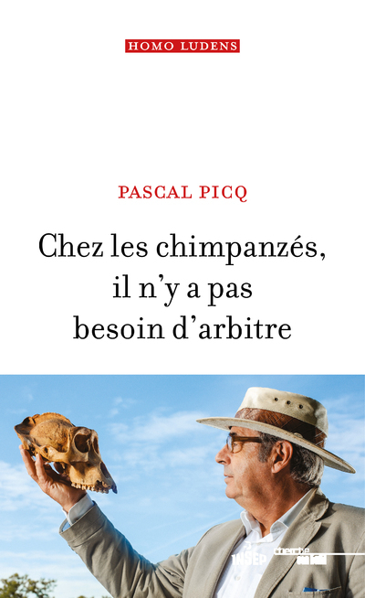 Chez les chimpanzés, il n'y a pas besoin d'arbitre
