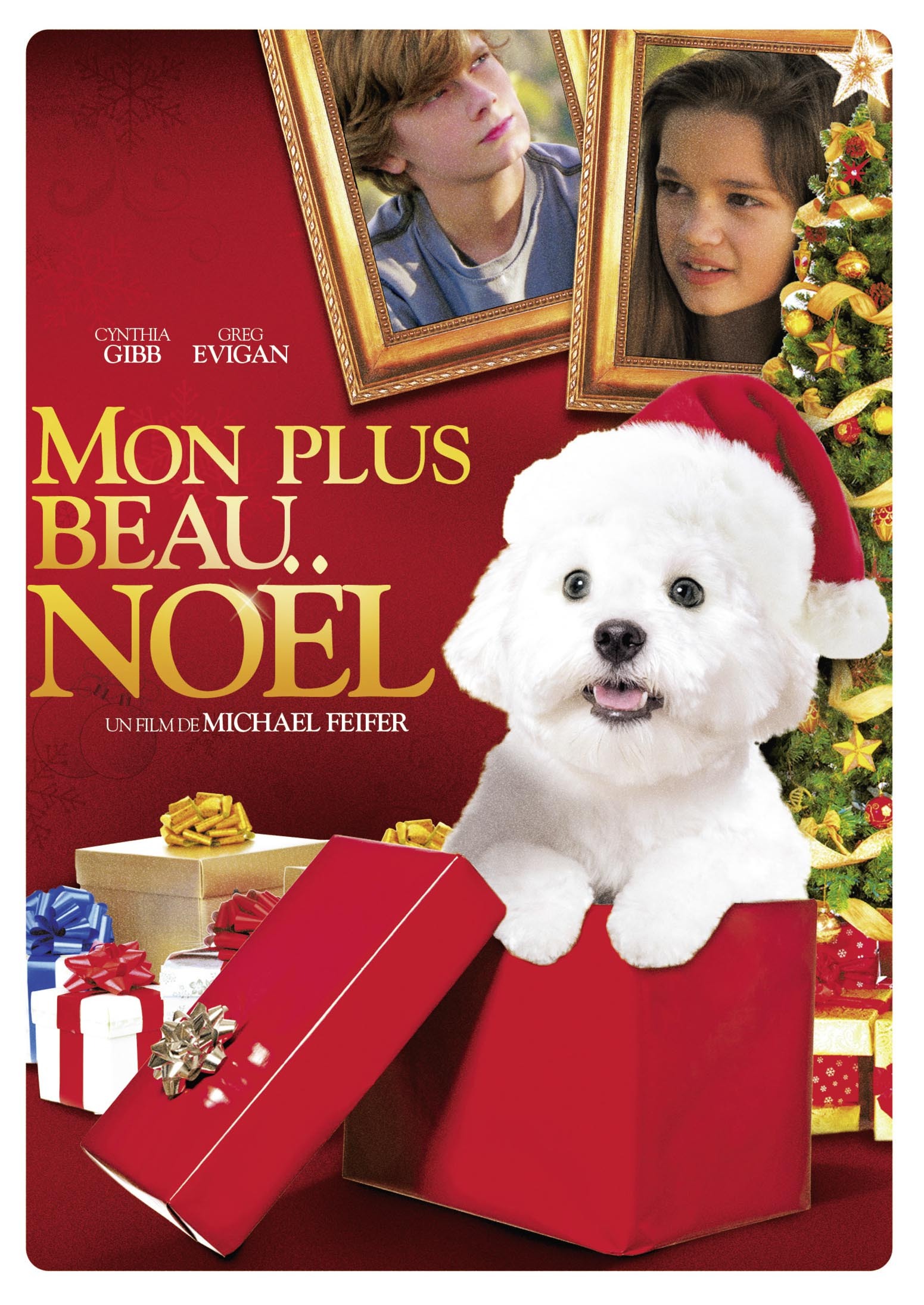 MON PLUS BEAU NOEL - DVD