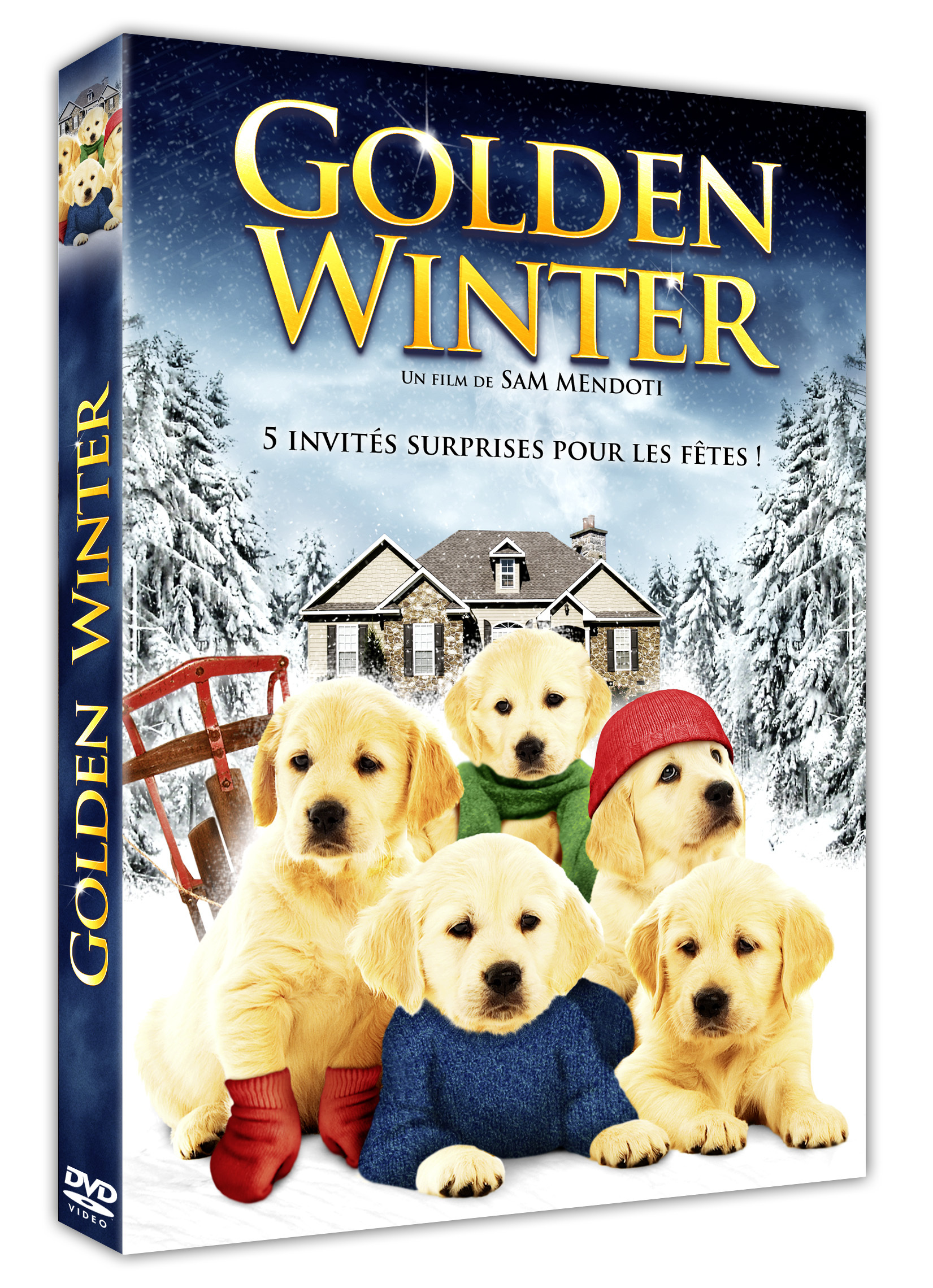GOLDEN WINTER - DVD