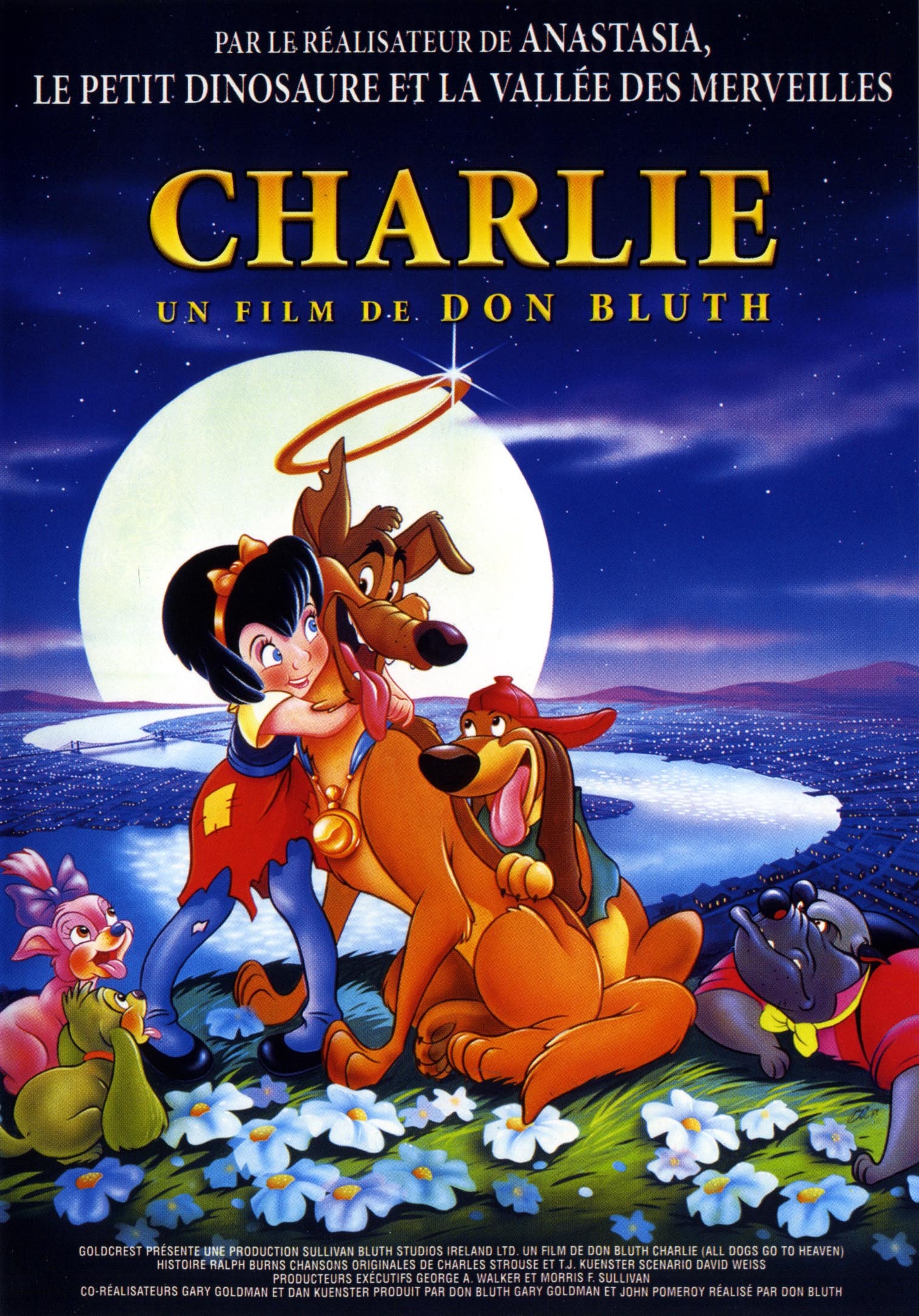 CHARLIE, MON HEROS - DVD
