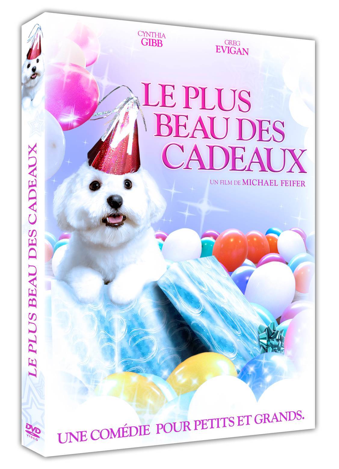 PLUS BEAU DES CADEAUX (LE) - DVD
