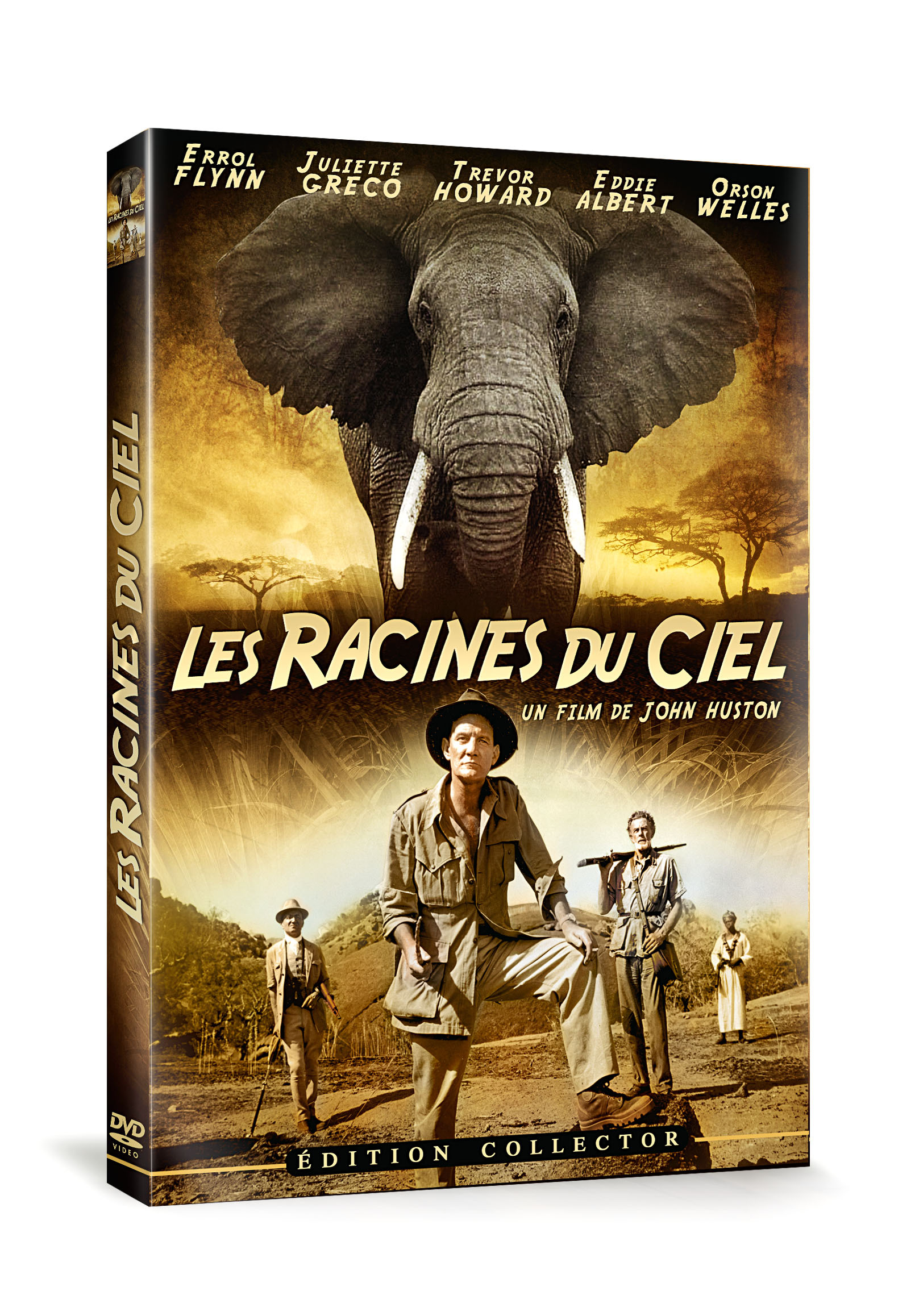 LES RACINES DU CIEL - DVD