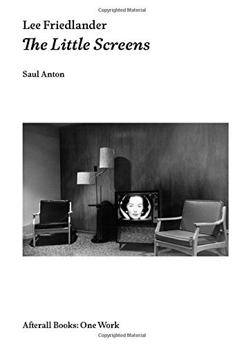 Lee Friedlander The Little Screens /anglais