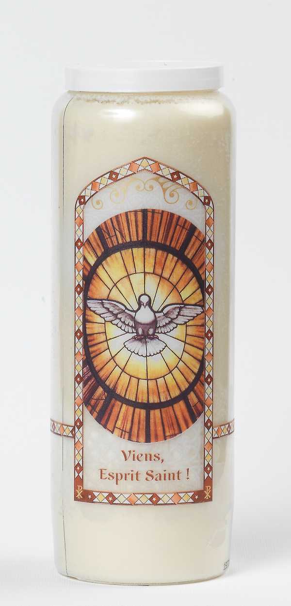 Neuvaine domestique Viens Esprit Saint